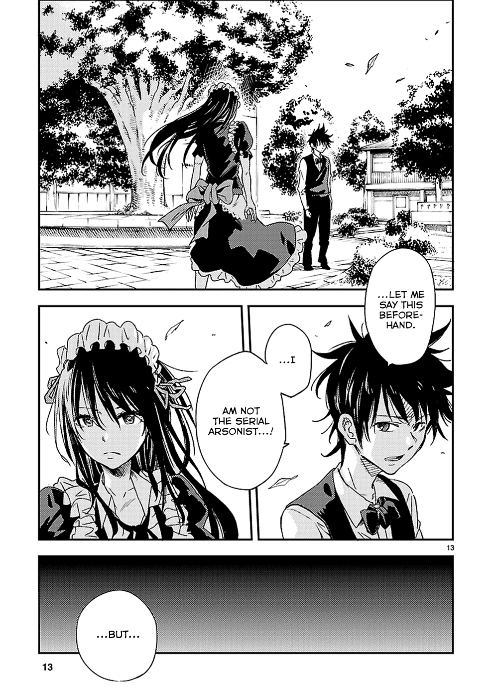 Page 13