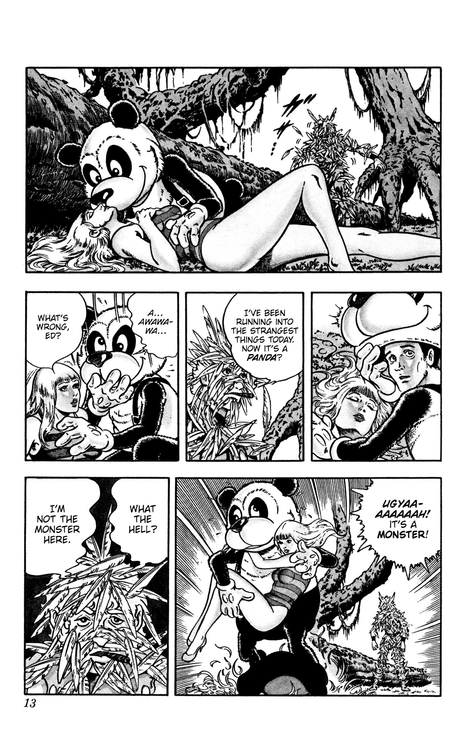 Page 13