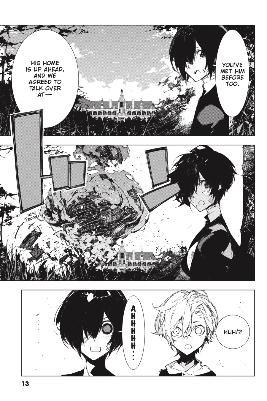 Page 13