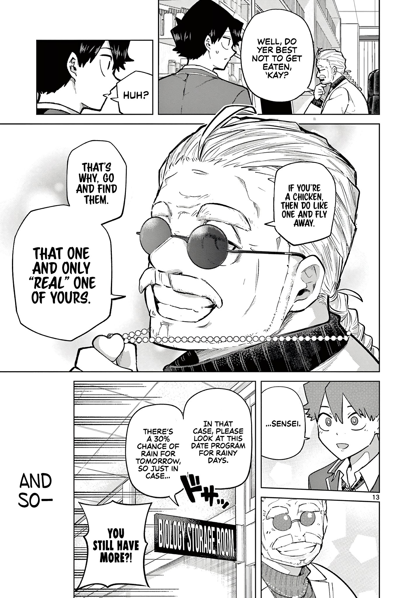 Page 13