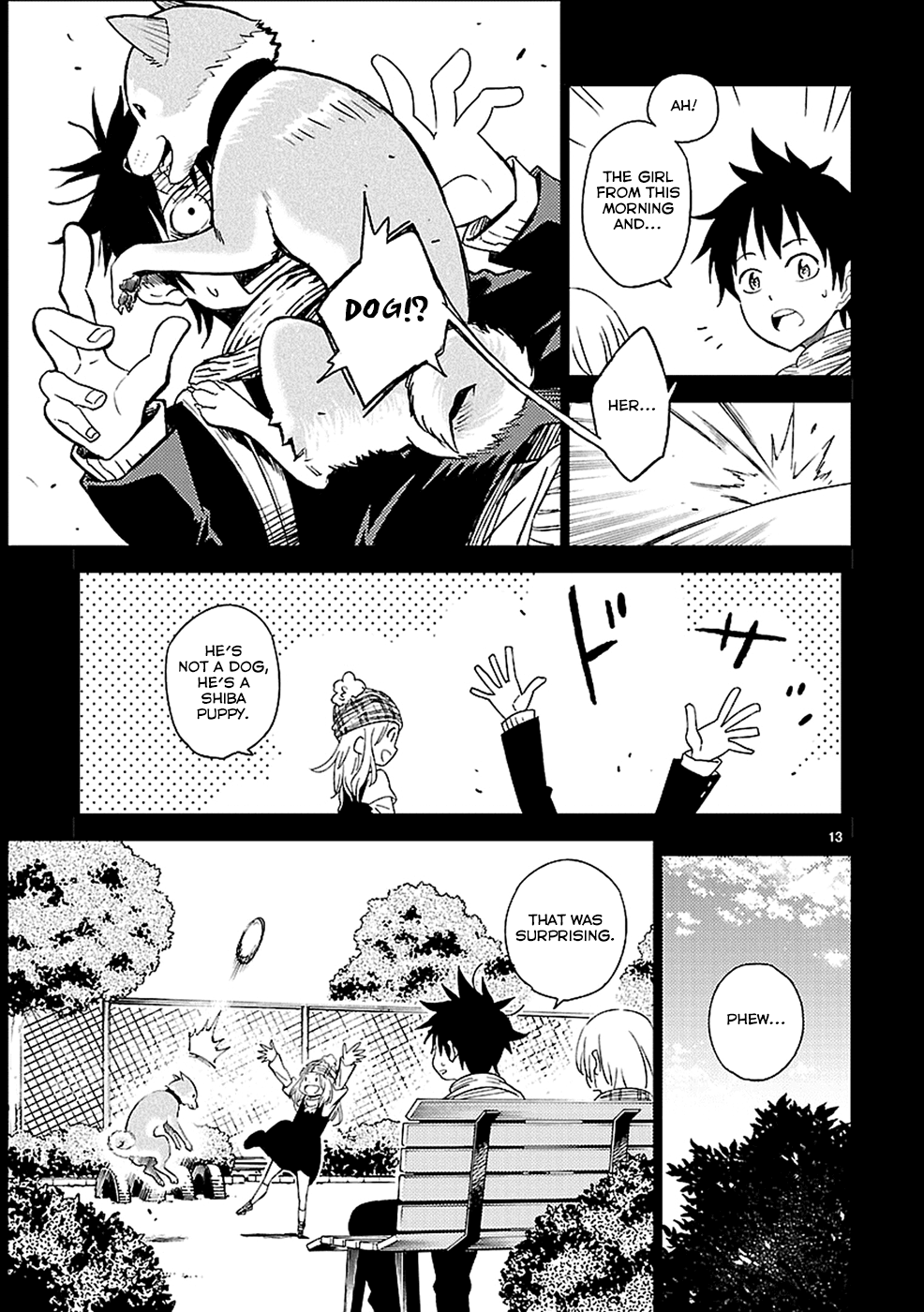 Page 13