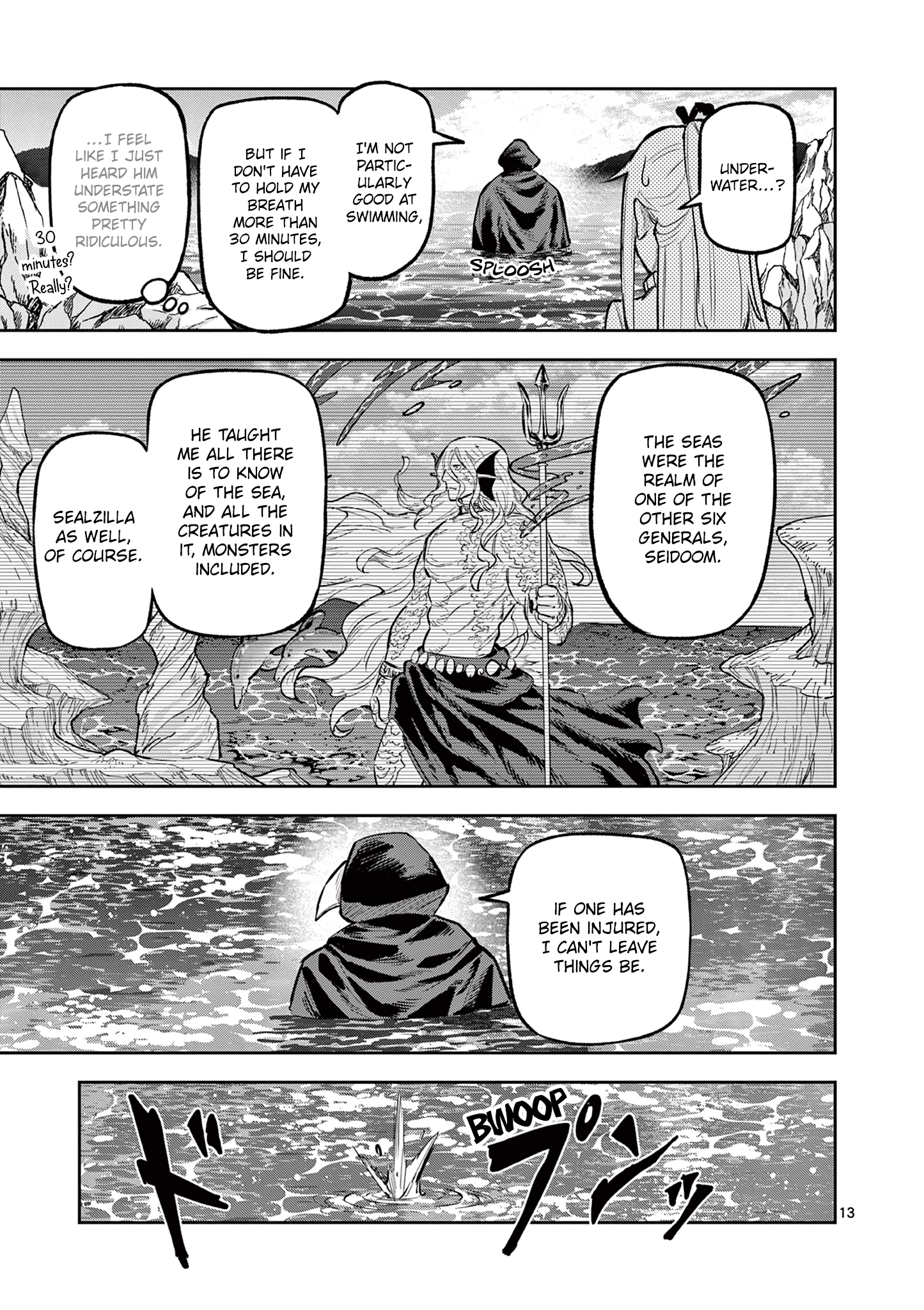 Page 13
