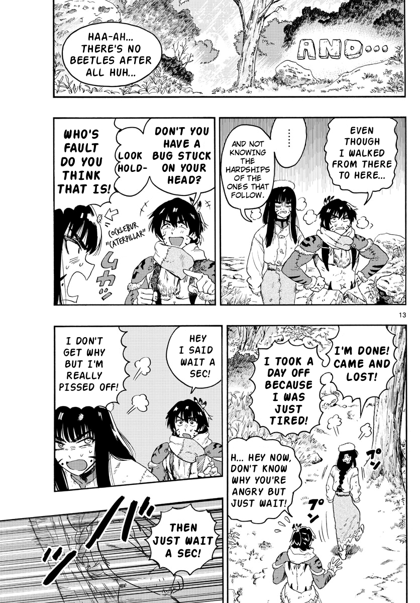 Page 13