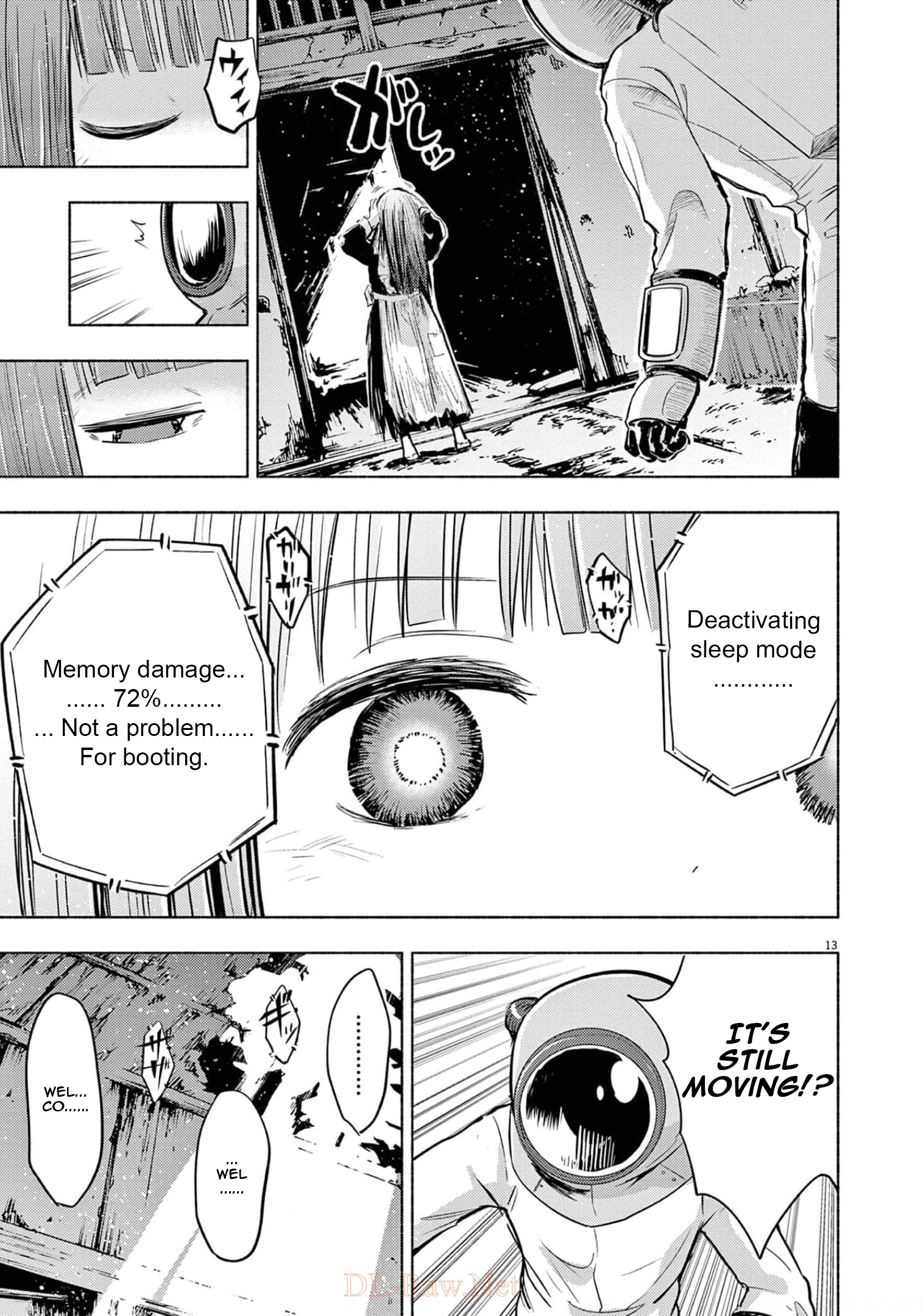 Page 13