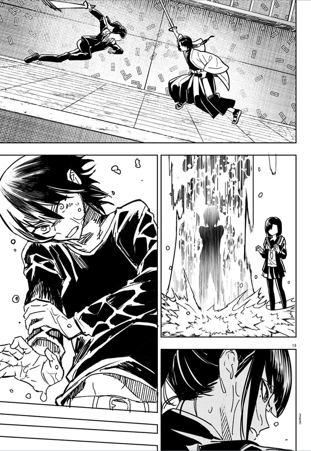 Page 13