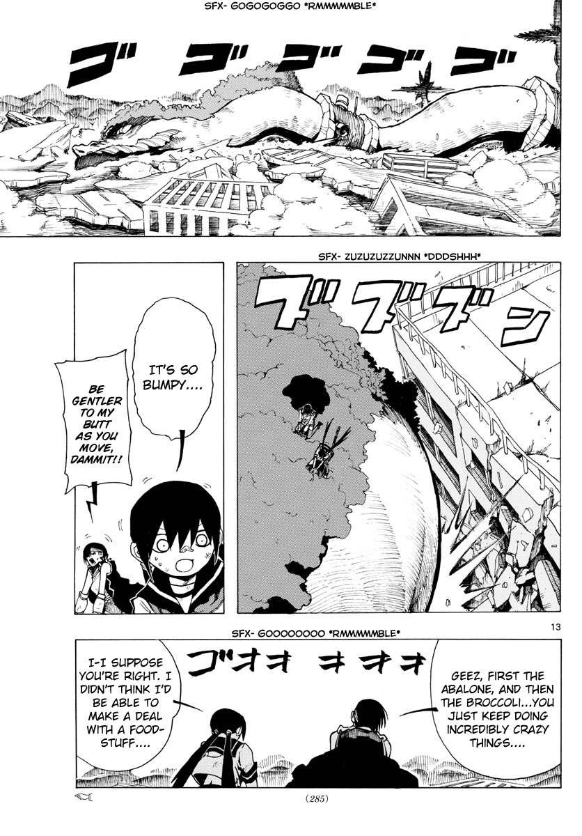 Page 13