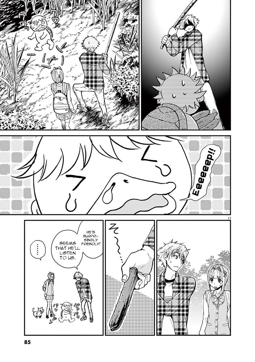 Page 13