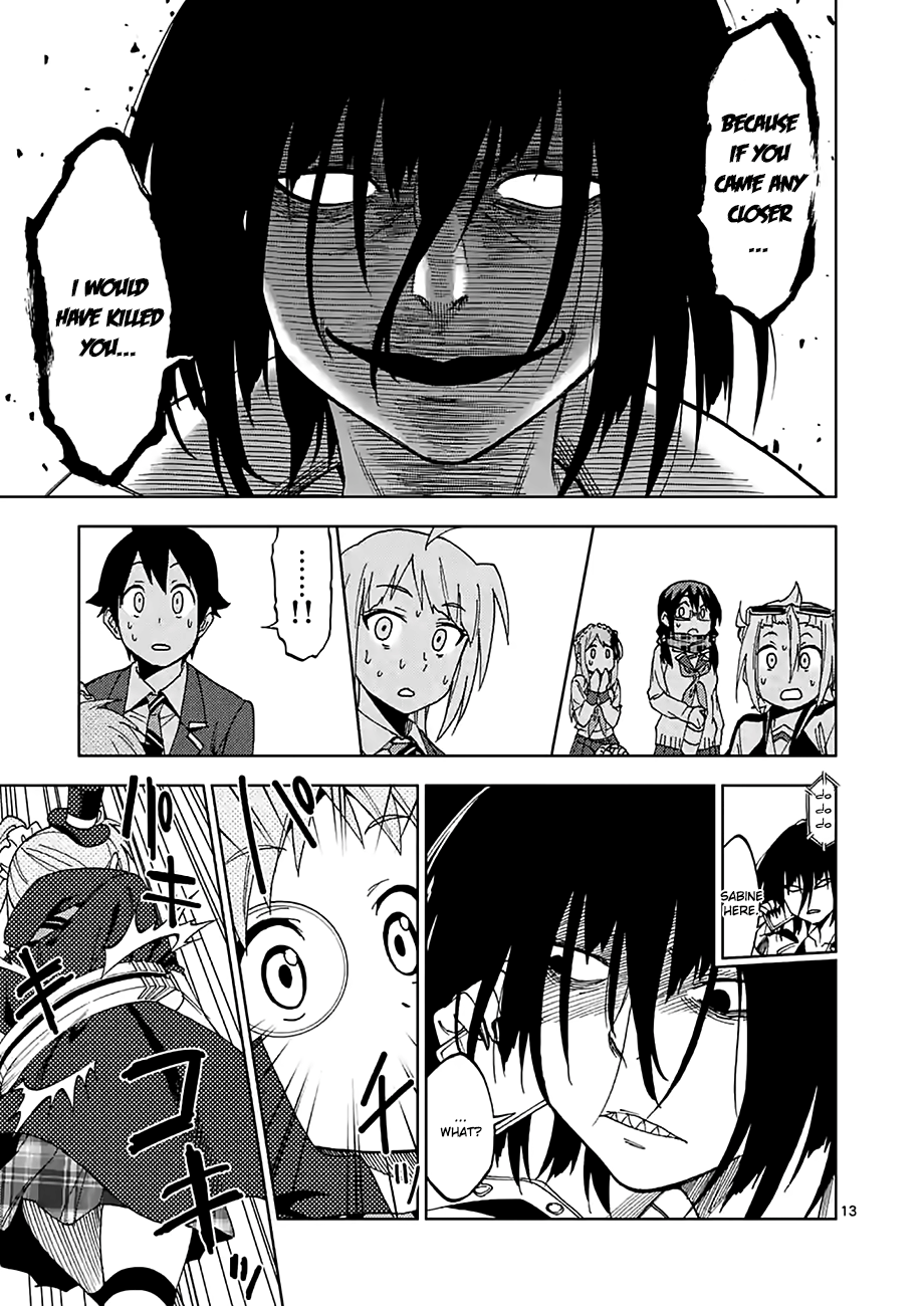 Page 13