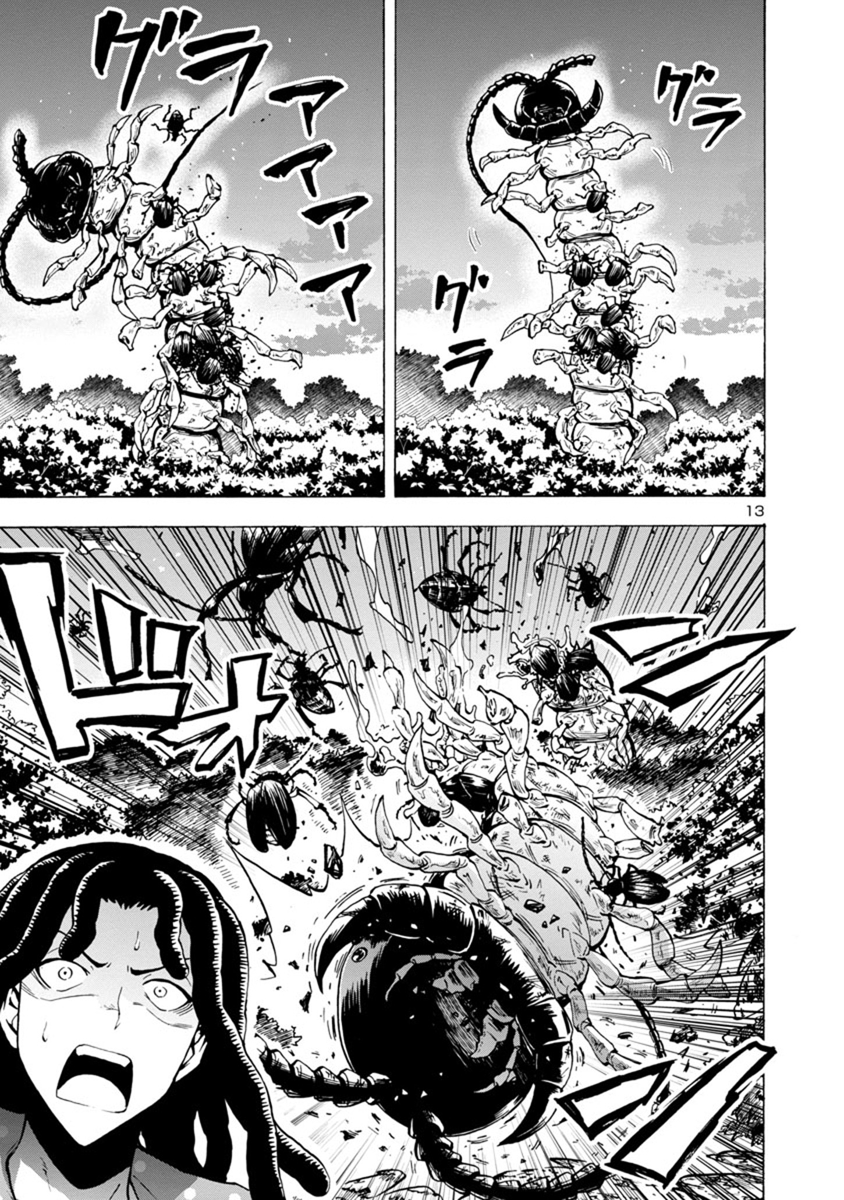 Page 13
