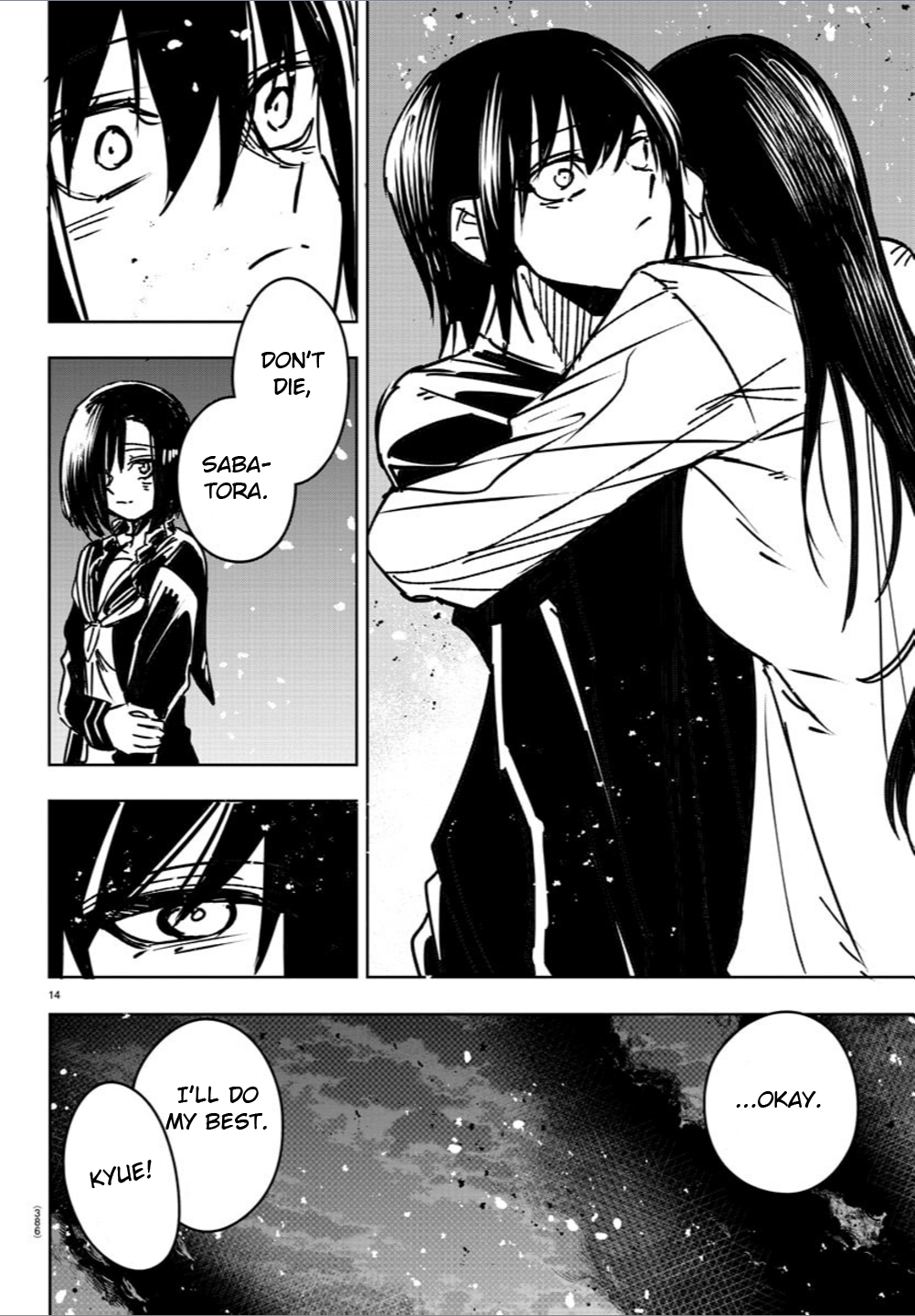 Page 14