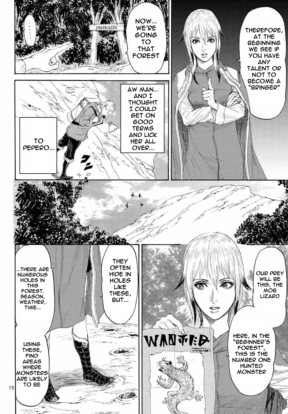 Page 13