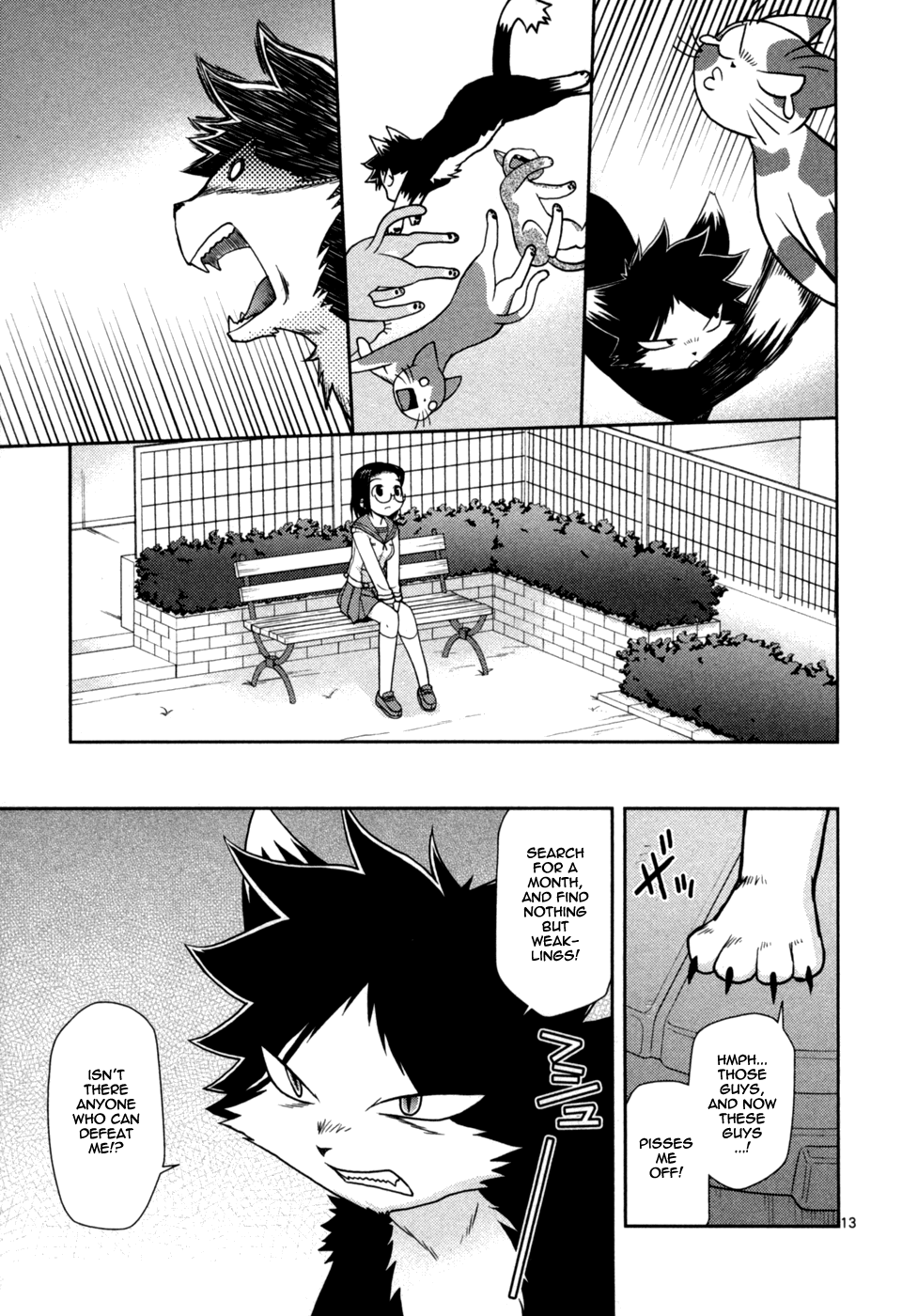Page 13