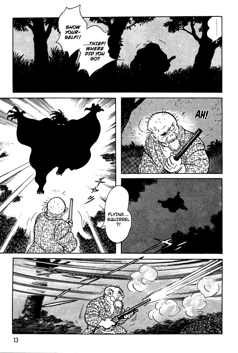 Page 13