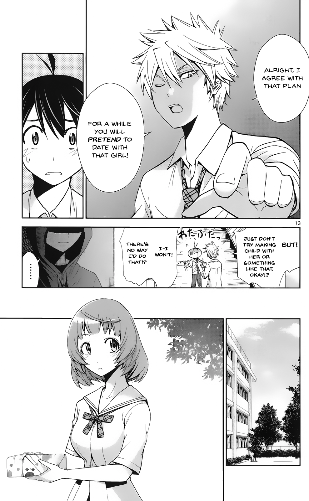 Page 13