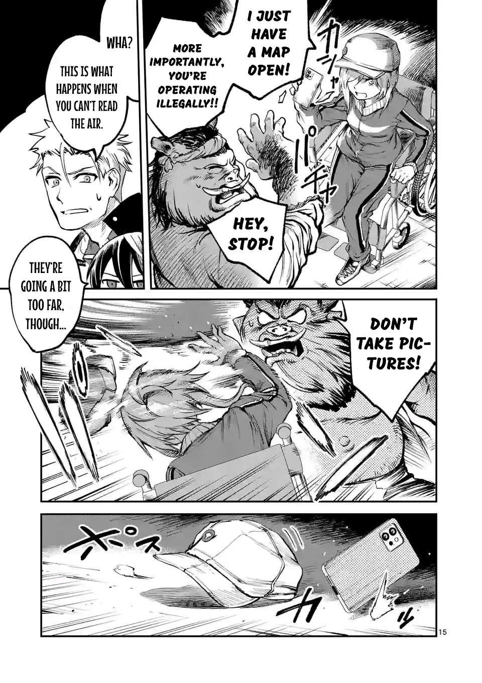 Page 15