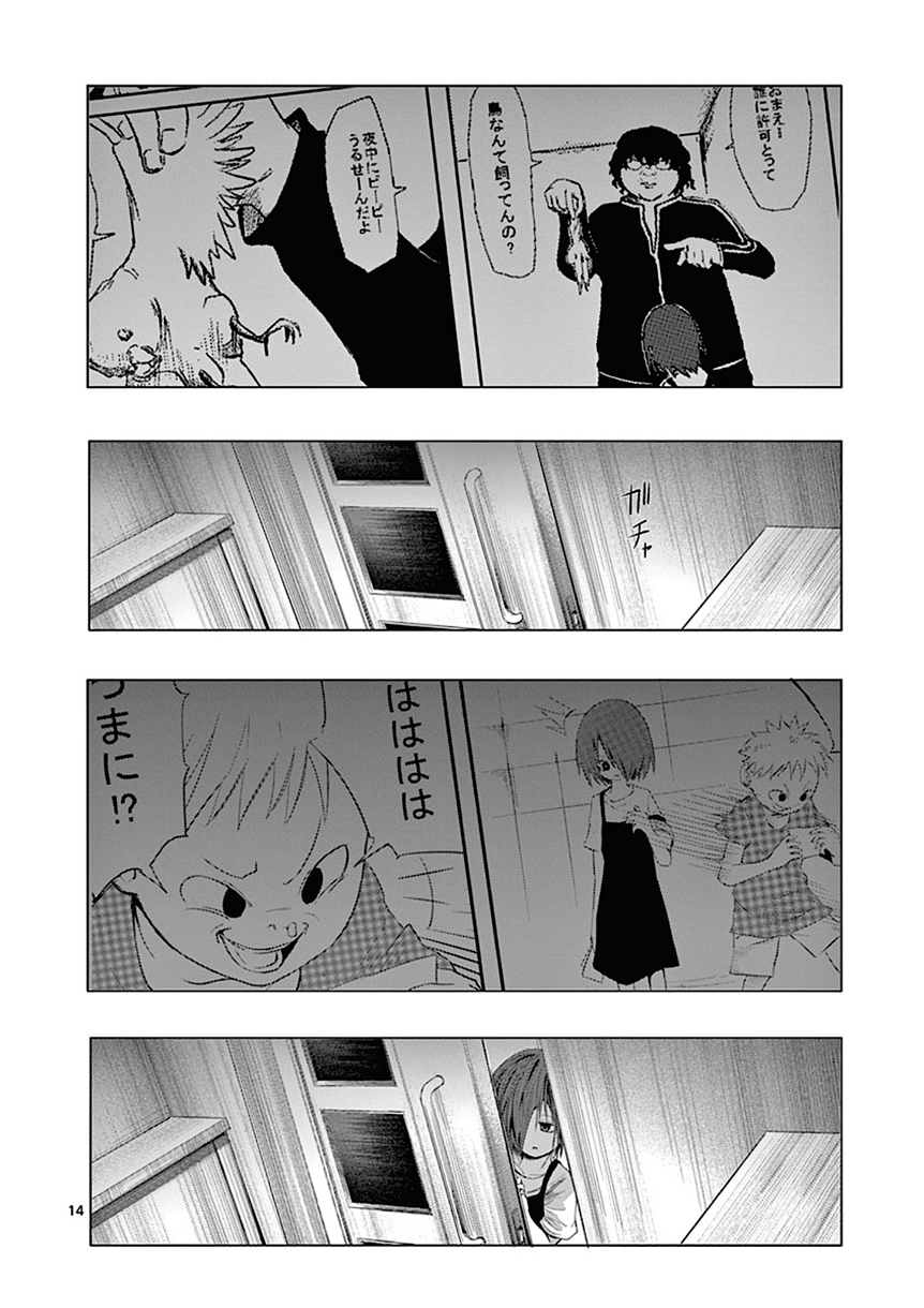 Page 14