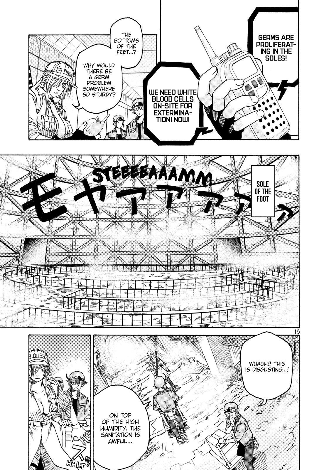 Page 15
