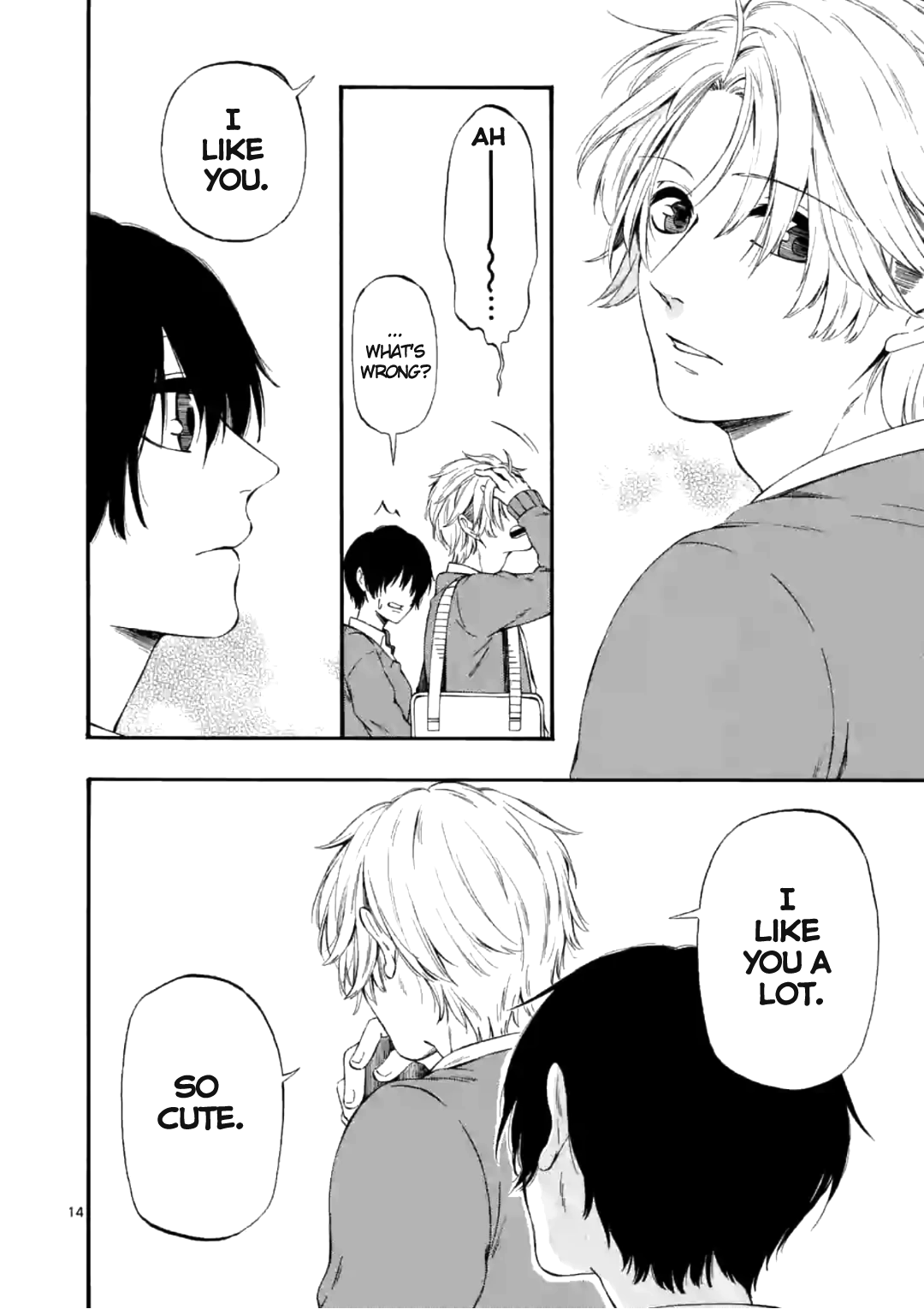 Page 14
