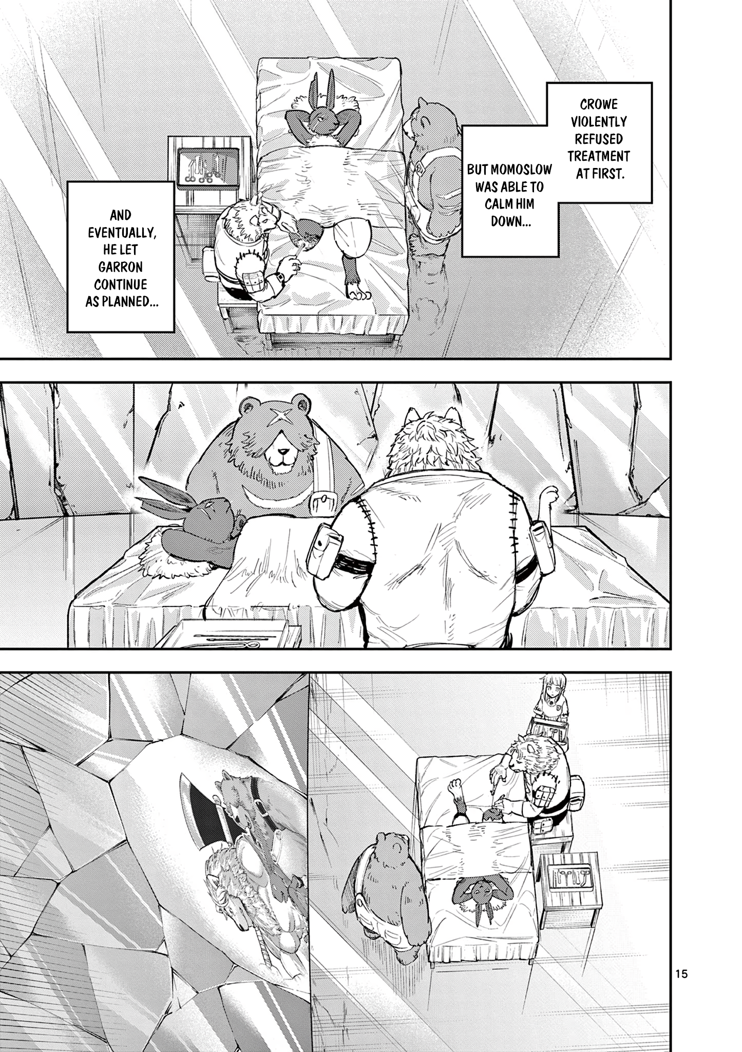 Page 15