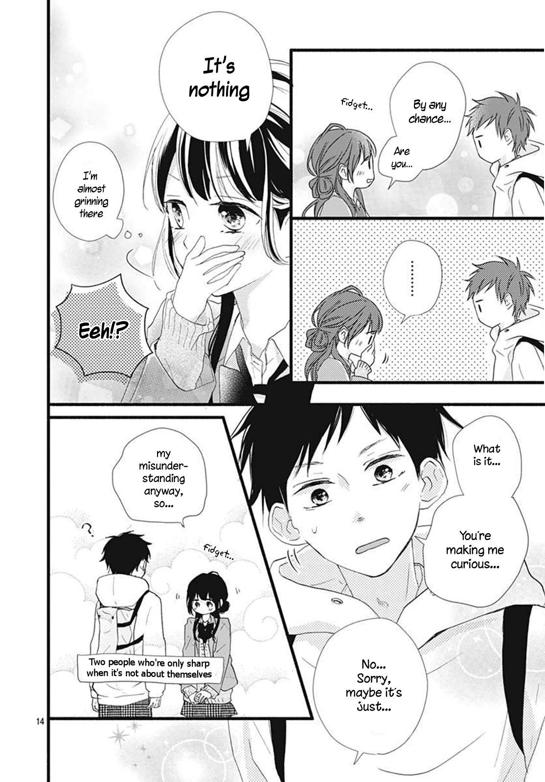 Page 14