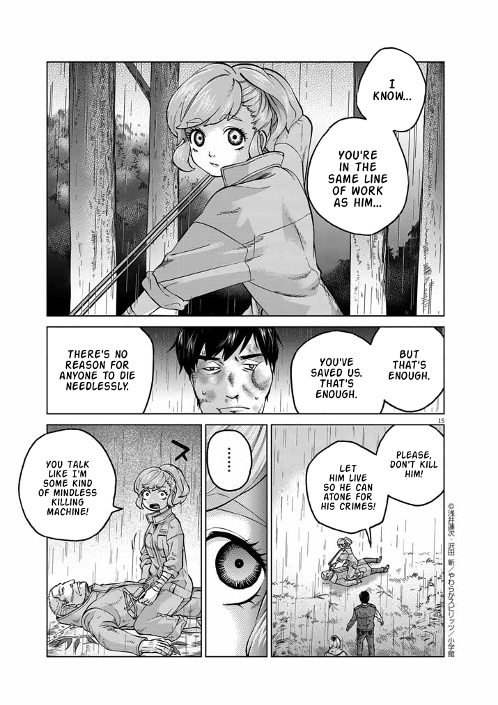 Page 15