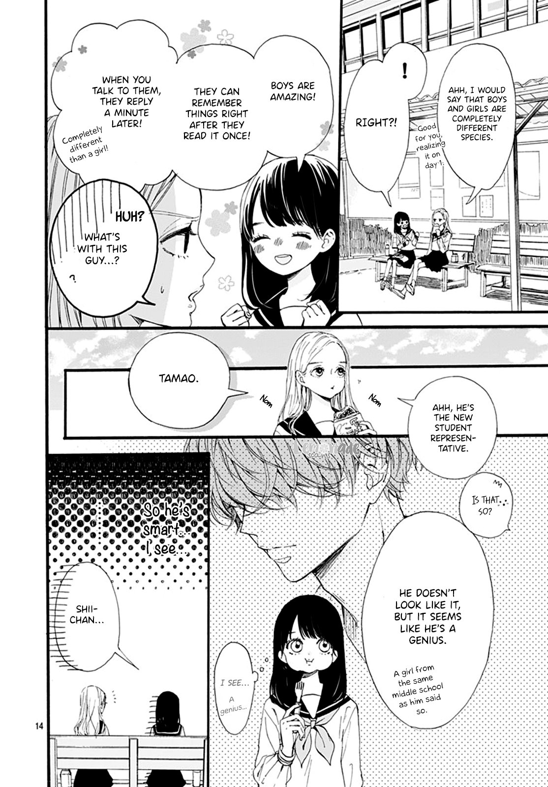 Page 15
