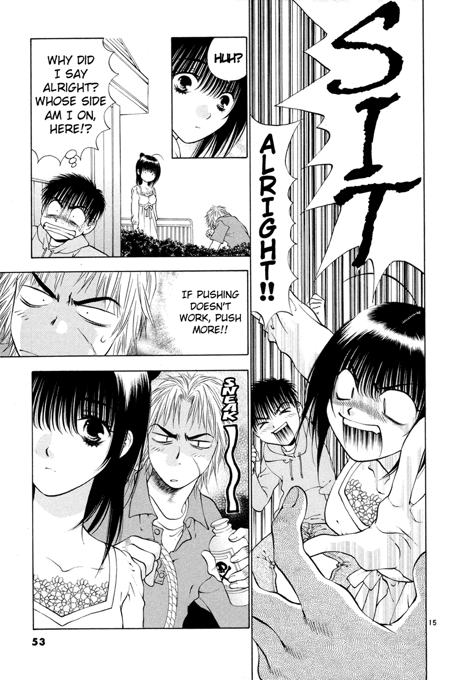 Page 15
