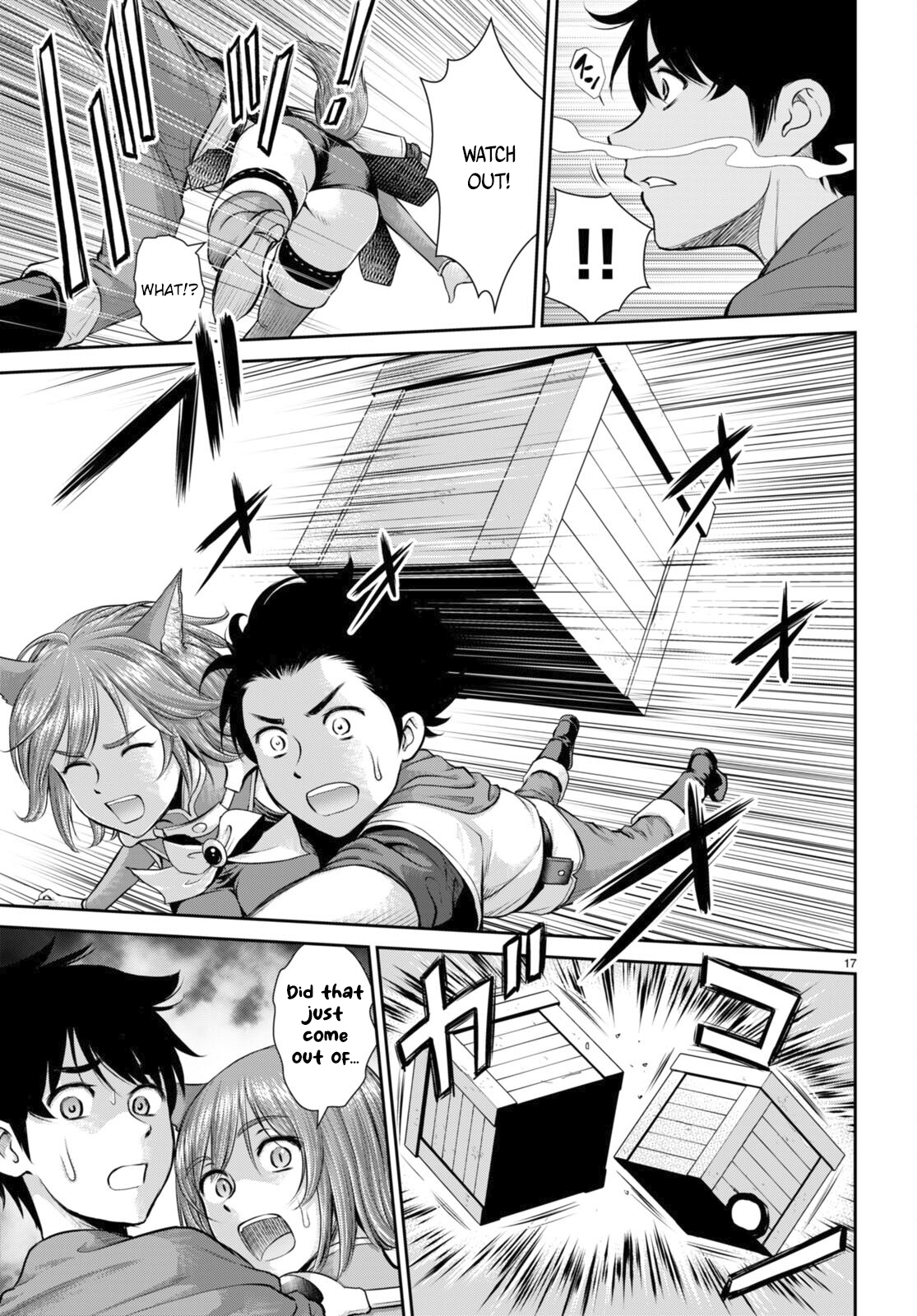 Page 17