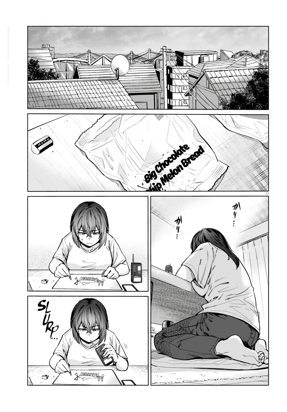 Page 17