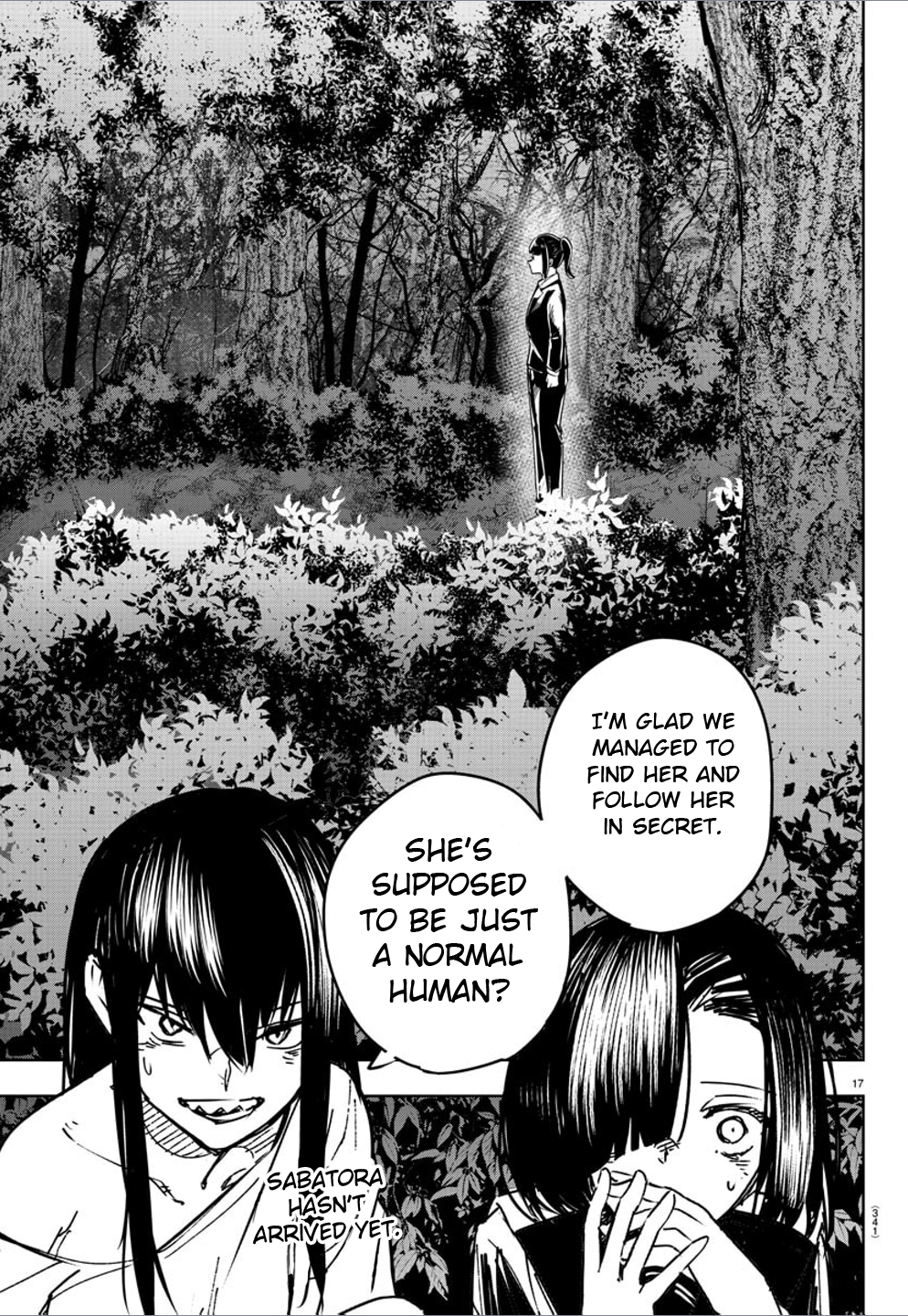 Page 17