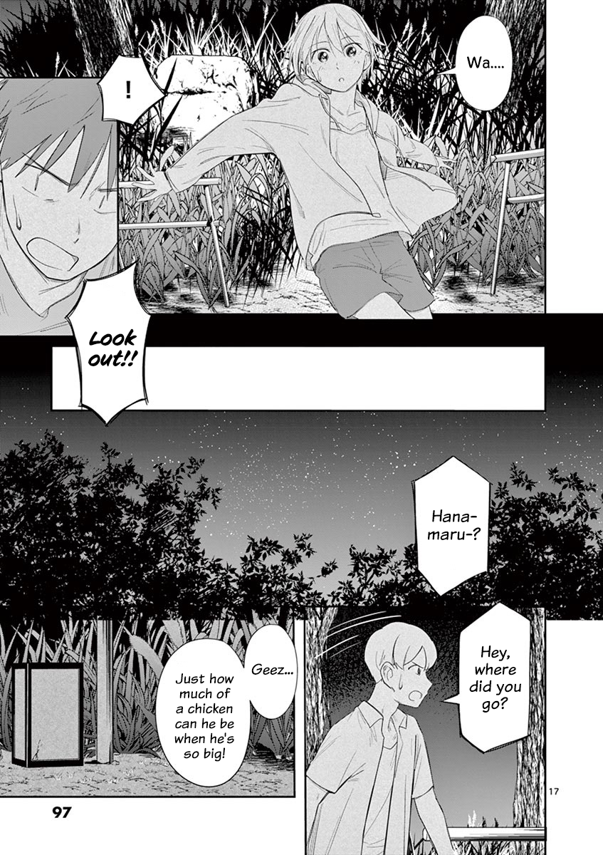Page 17