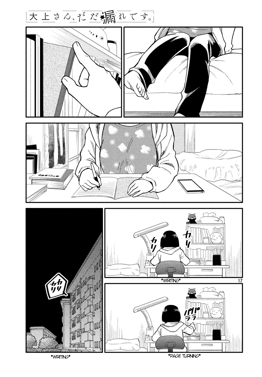 Page 17