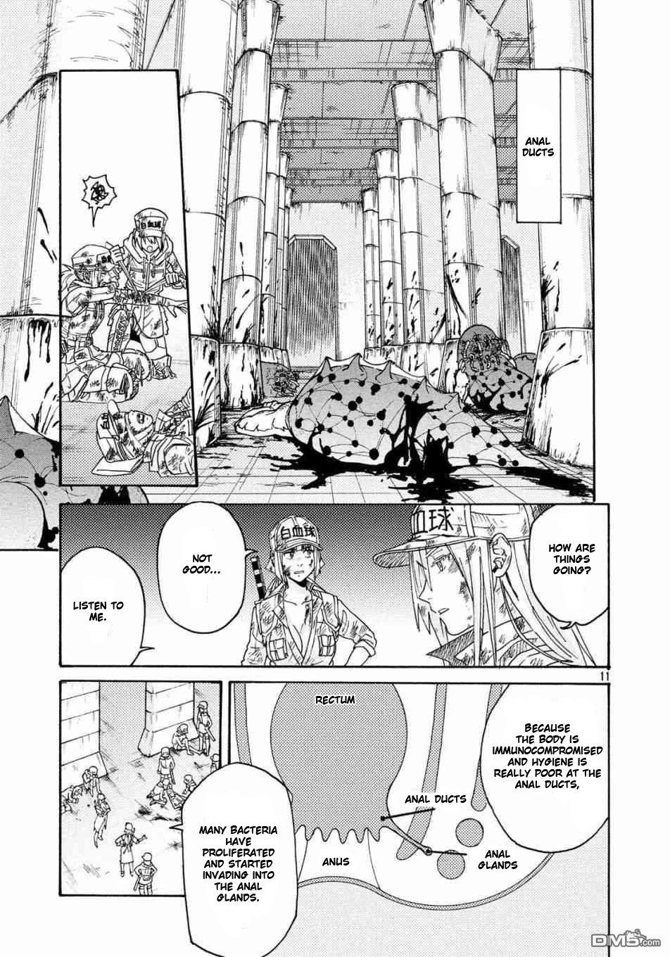 Page 11