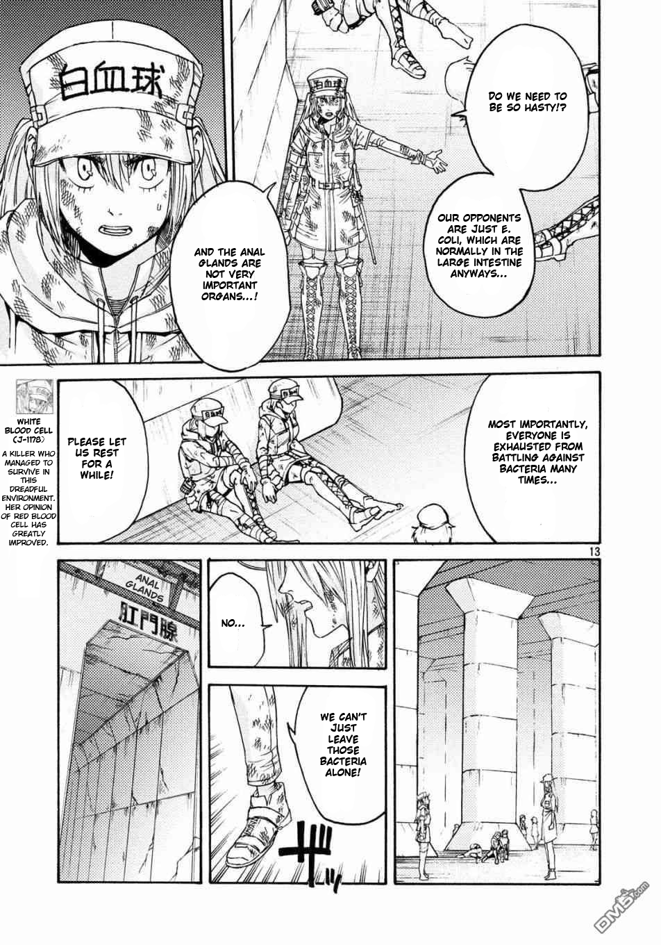 Page 13
