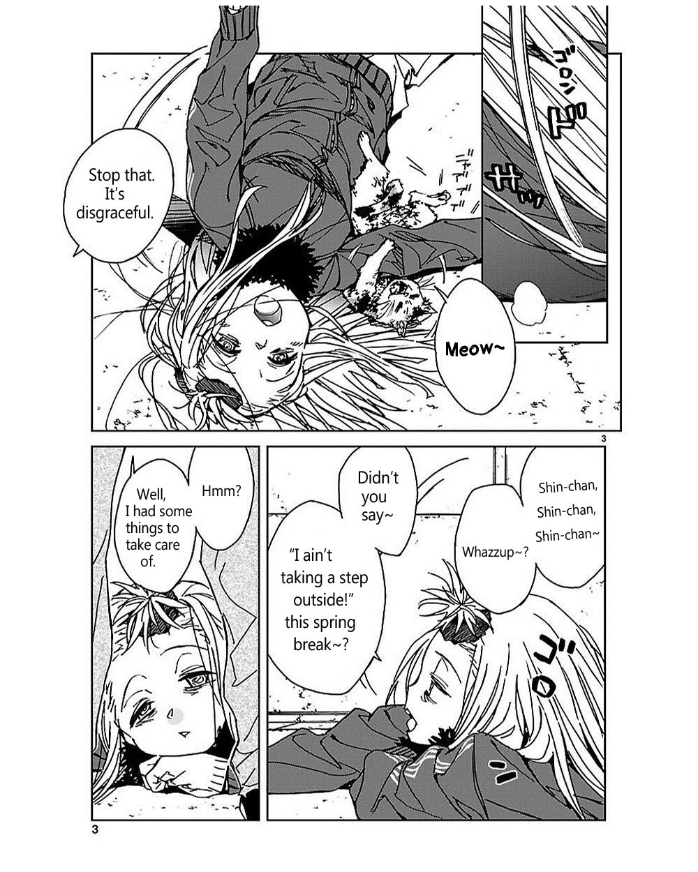 Page 3