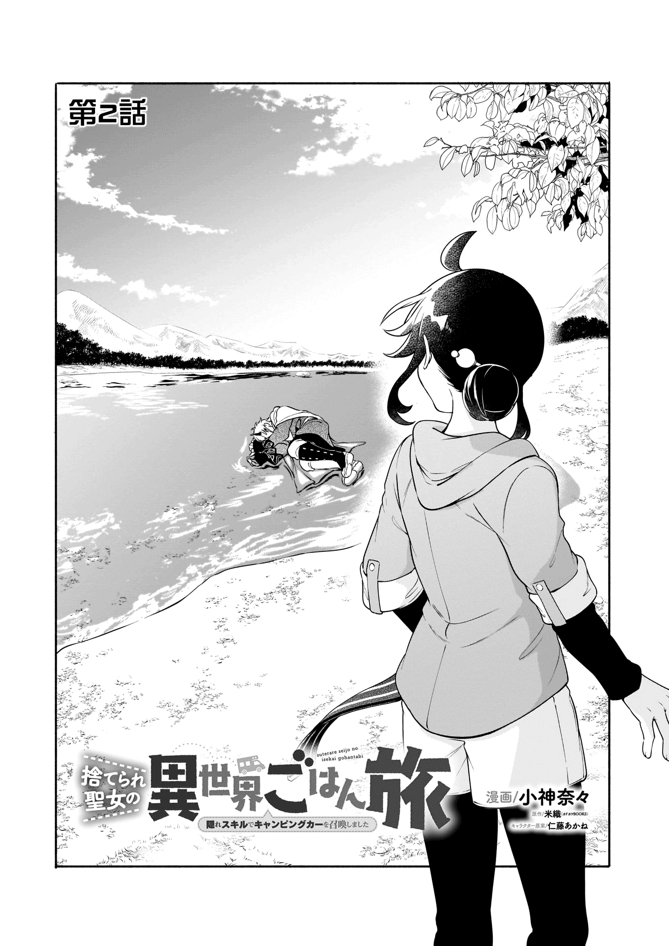 Page 2
