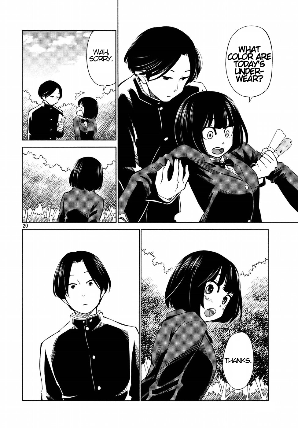 Page 20