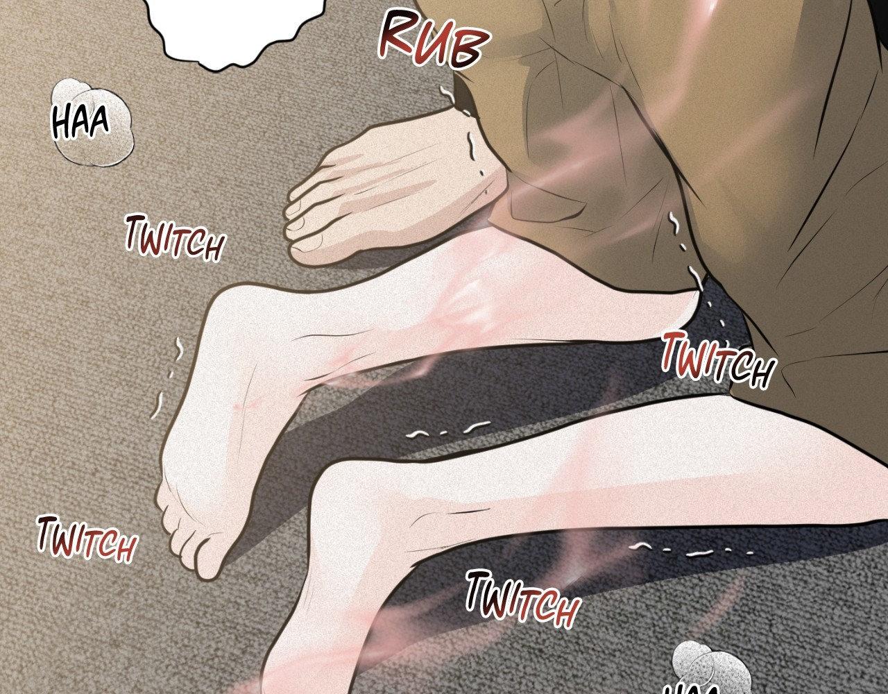 Page 213