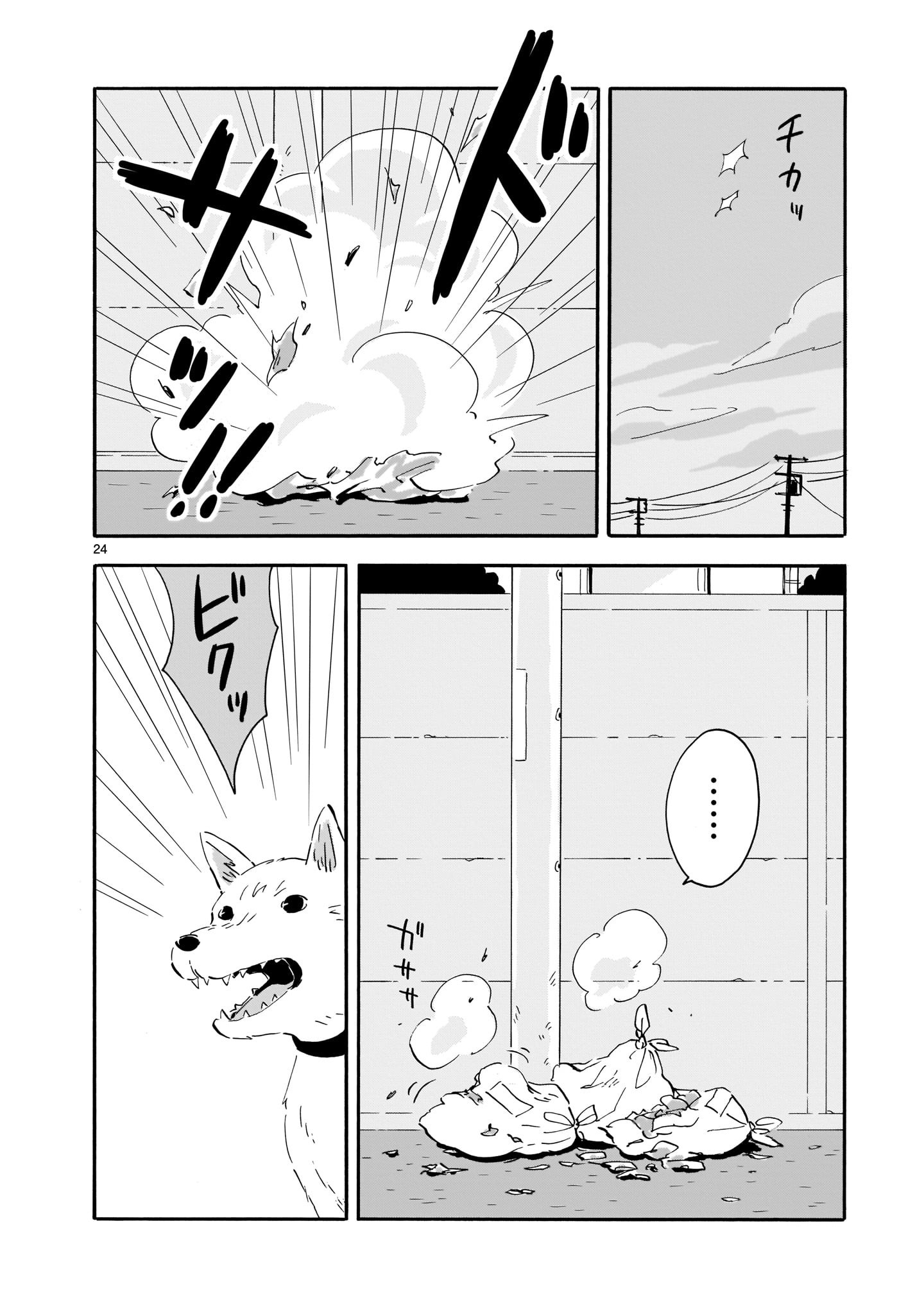 Page 24