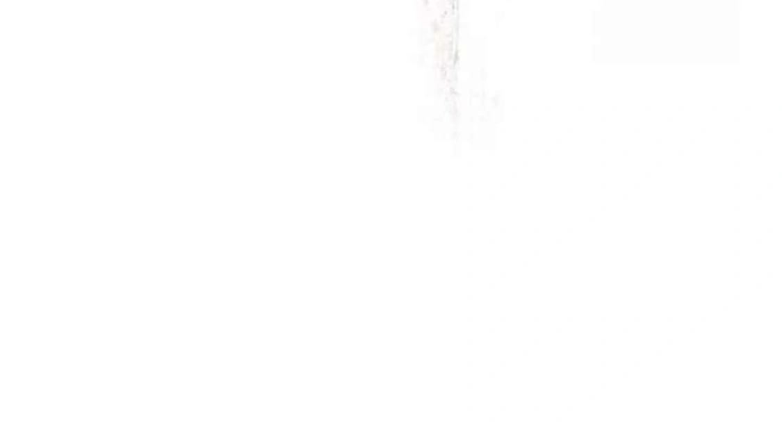 Page 234