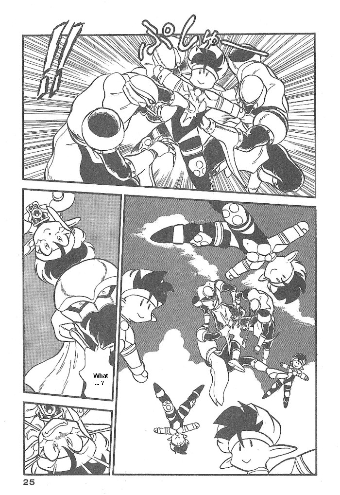 Page 25