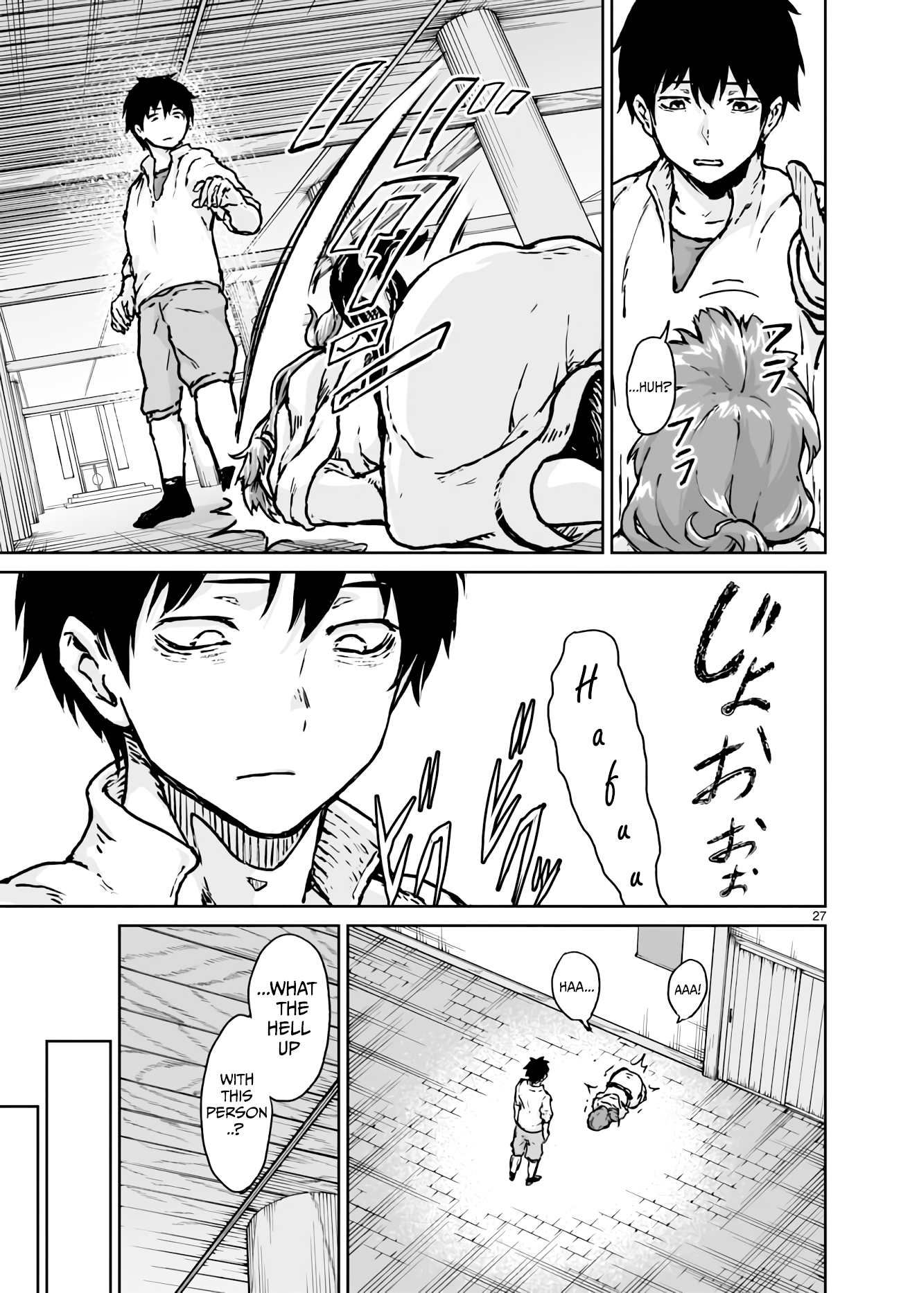 Page 27