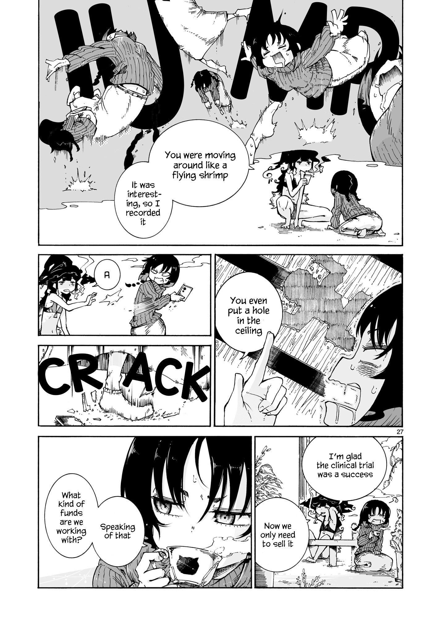 Page 27