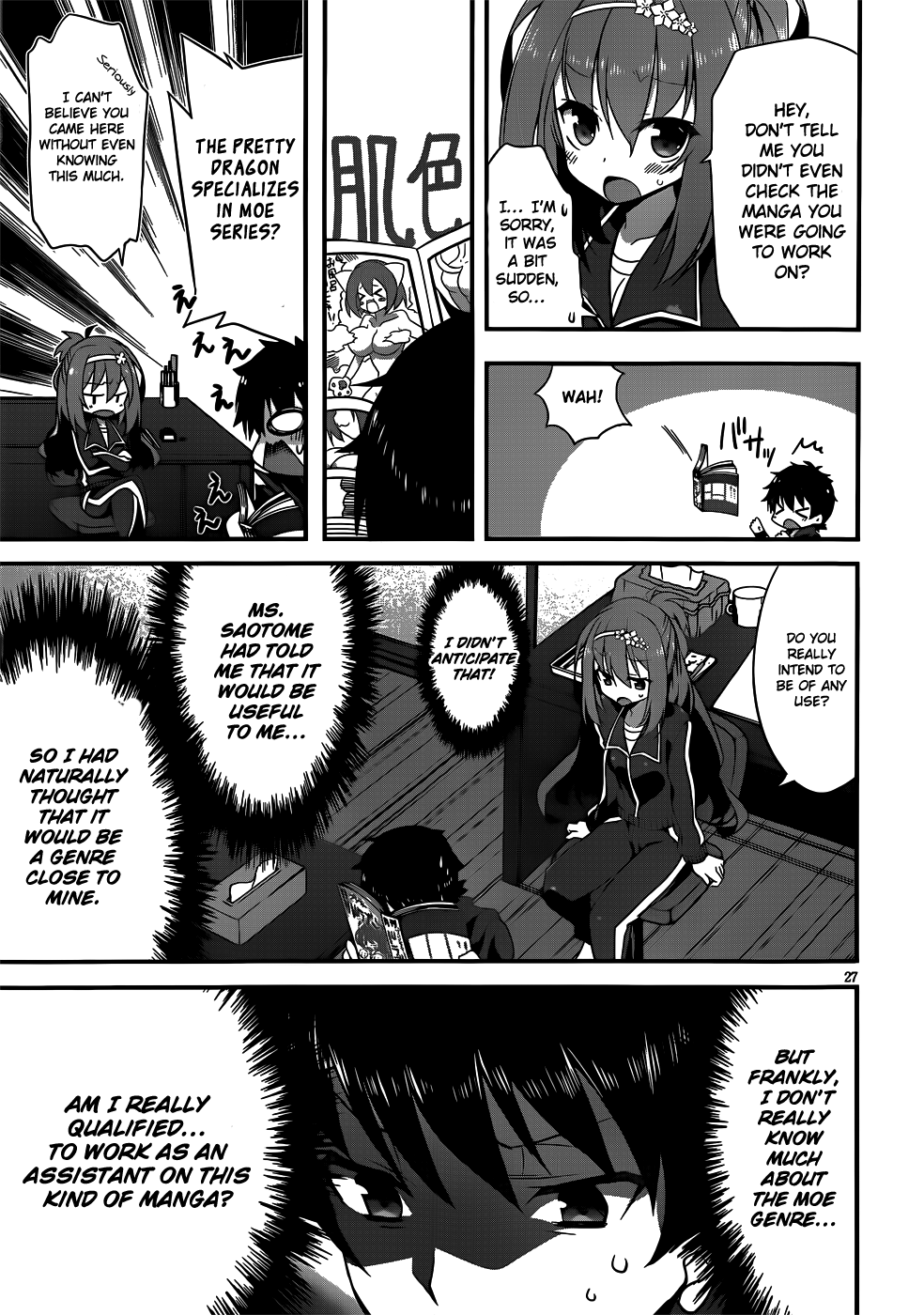 Page 27