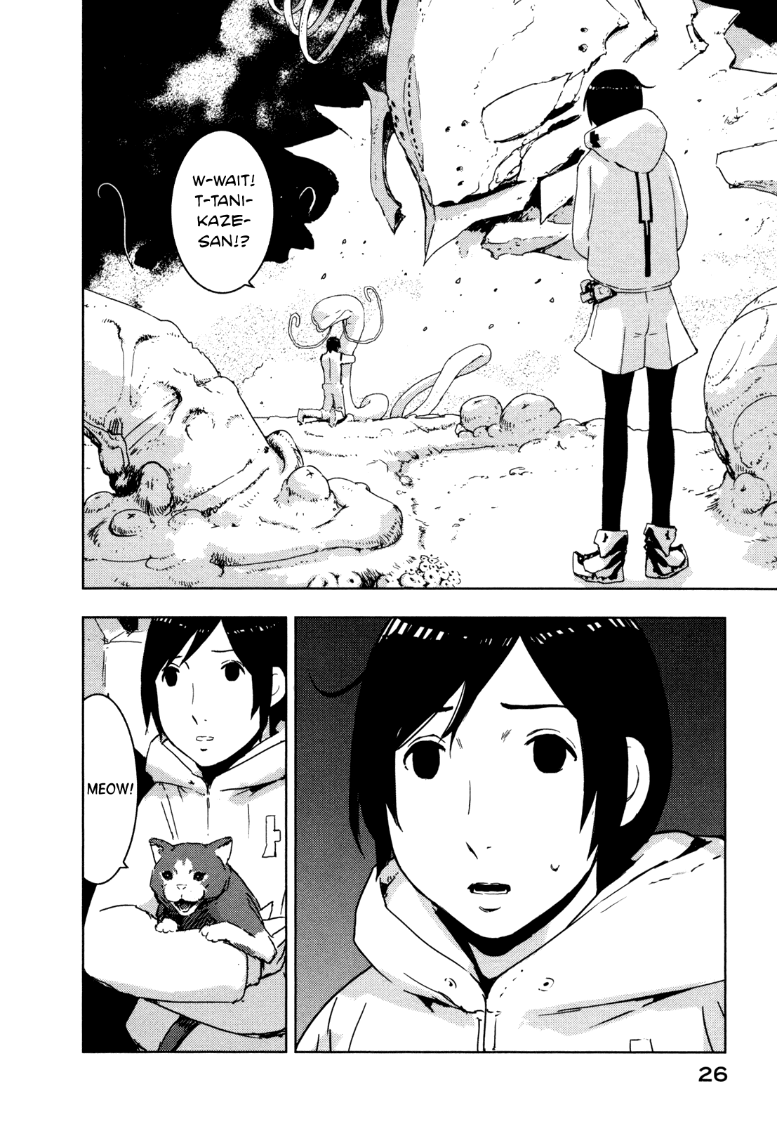 Page 27