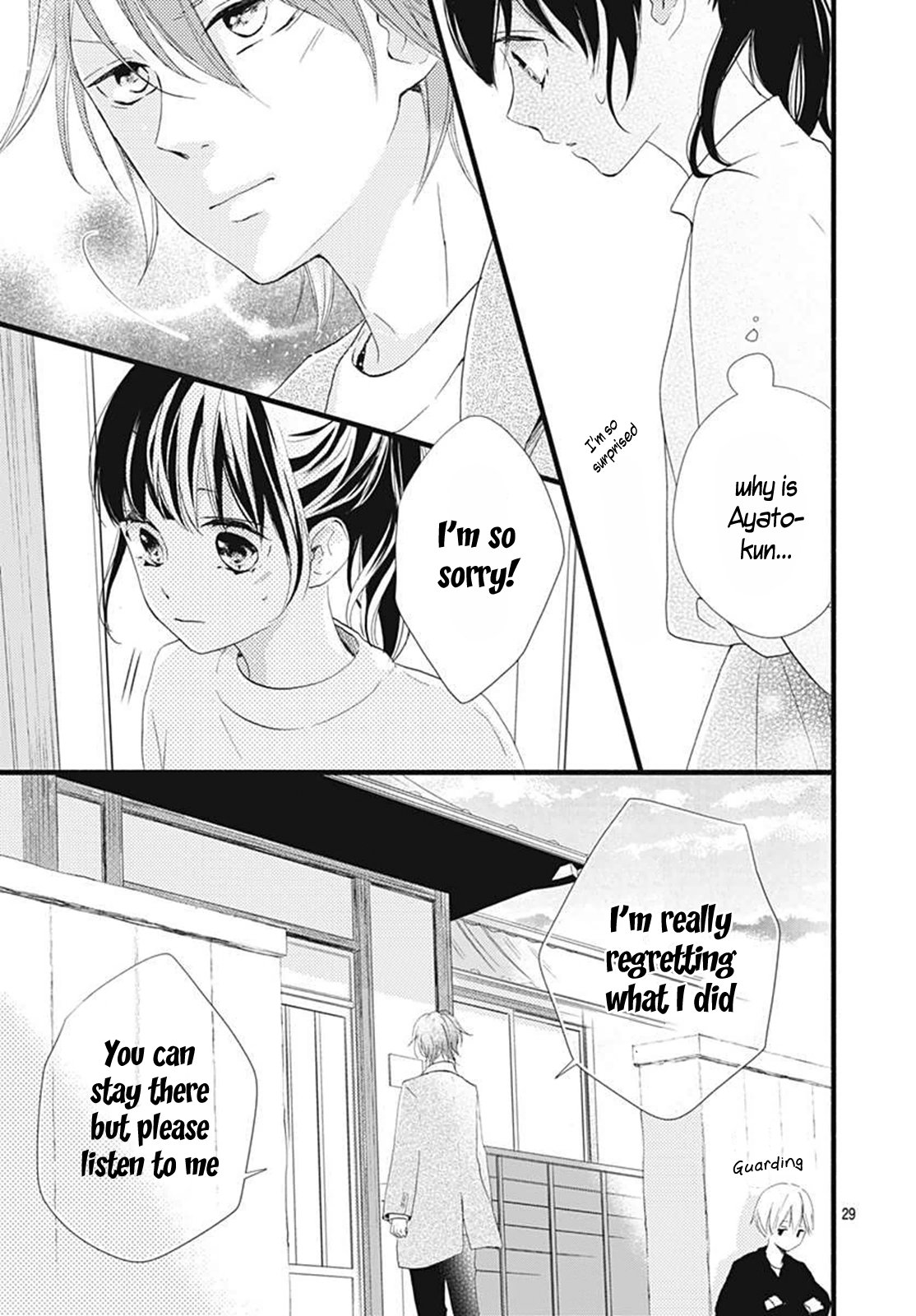 Page 29
