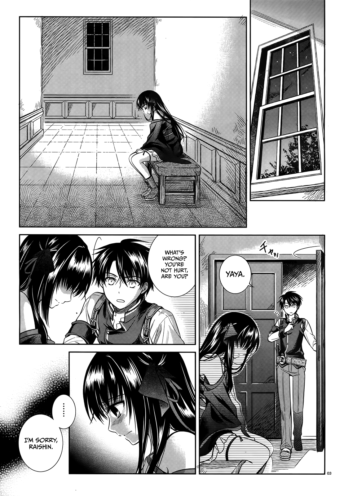 Page 3