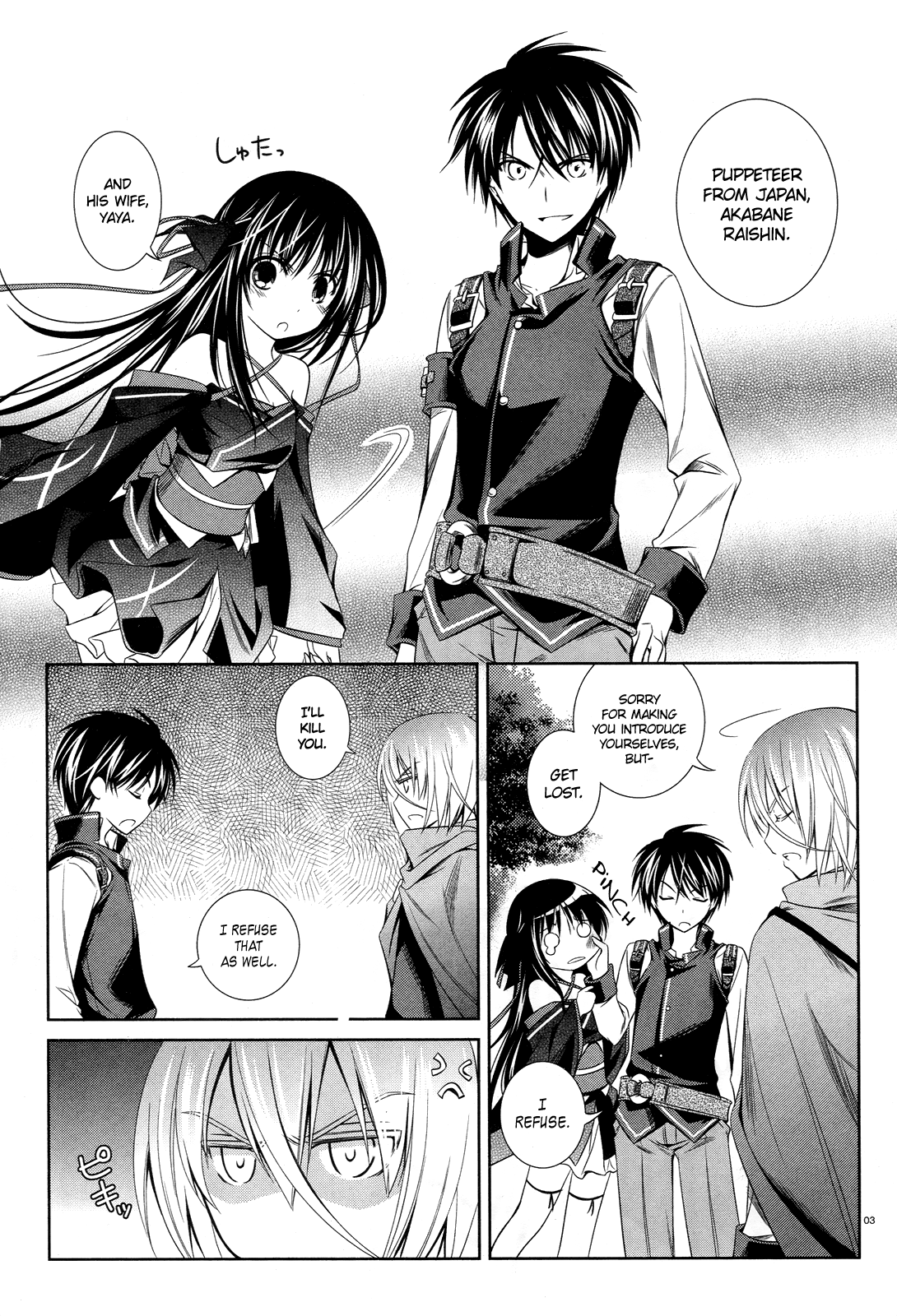 Page 3