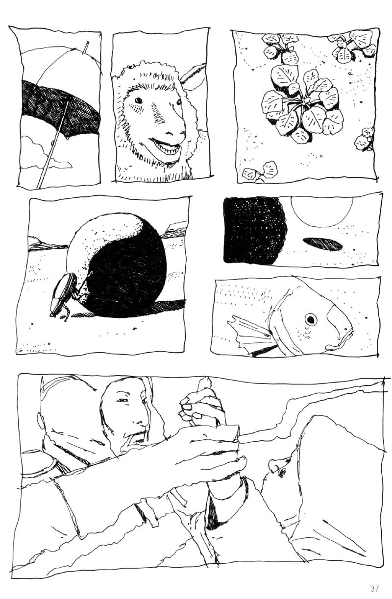 Page 37