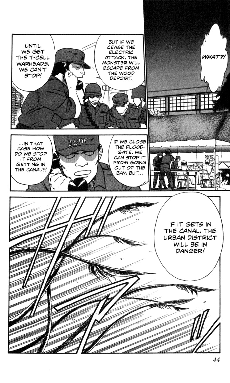 Page 43